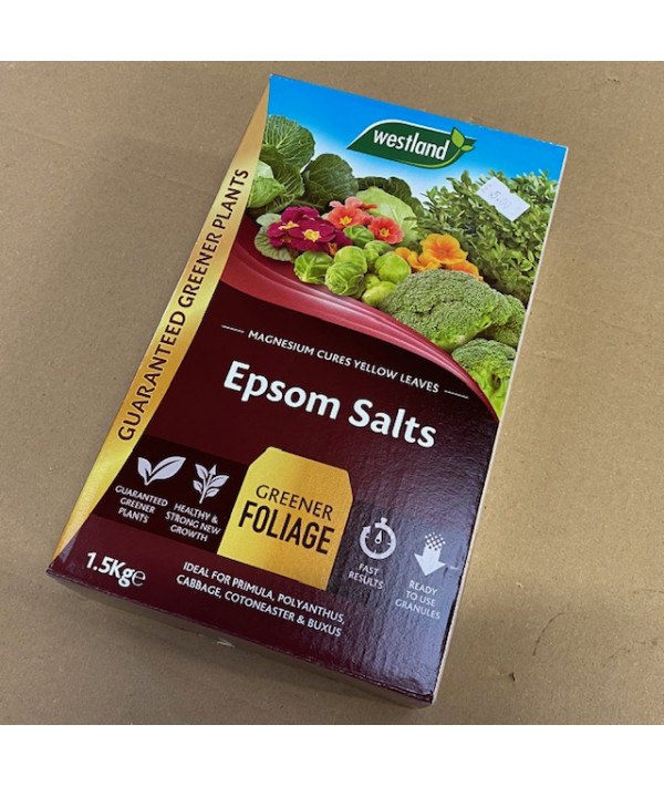 Epsom Salts (For greener foliage)