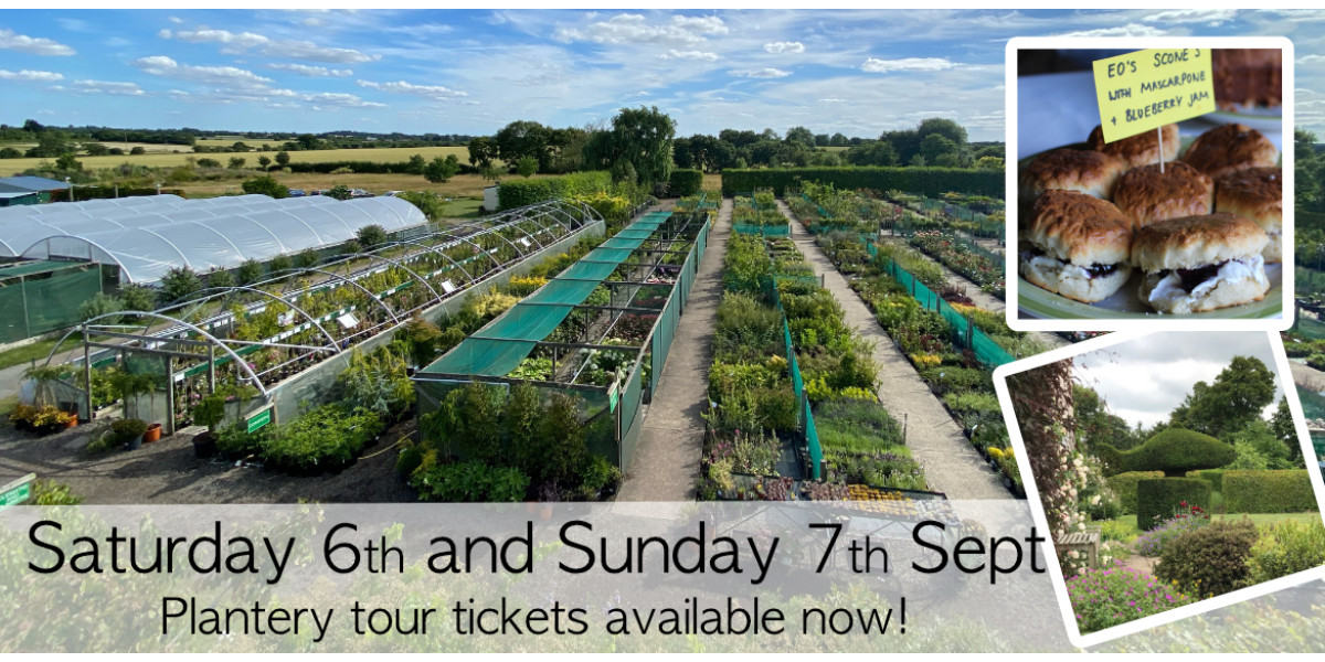 Open Weekend