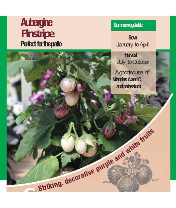 Aubergine Pinstripe F1 Vegetable Seeds
