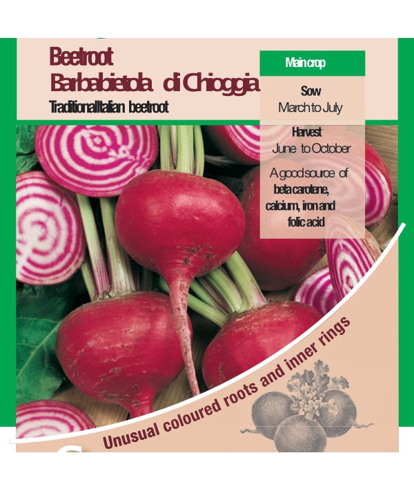 Beetroot Barbabietola di Chioggia Vegetable Seeds
