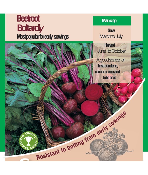 Beetroot Boltardy Vegetable Seeds - AGM