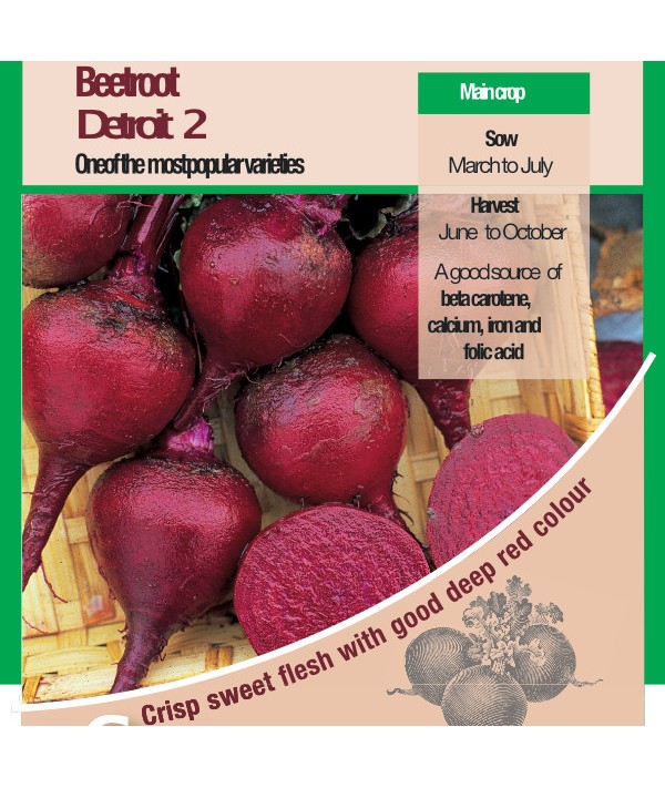 Beetroot Detroit 2 Vegetable Seeds