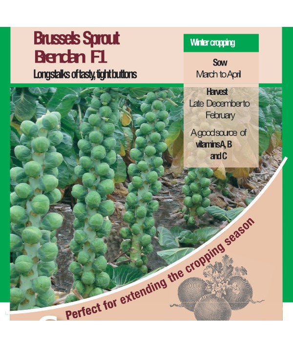 Brussels Sprouts Brendan F1 -  Vegetable Seeds