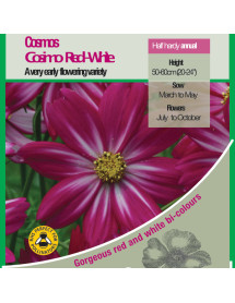 Cosmos Cosimo Red-White Seeds