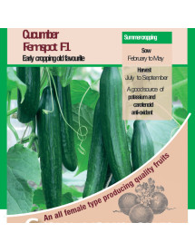 Cucumber Femspot F1 Vegetable Seeds