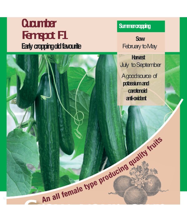 Cucumber Femspot F1 Vegetable Seeds