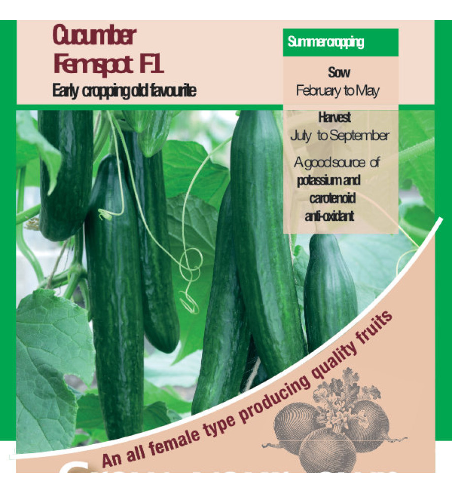 Cucumber Femspot F1 Vegetable Seeds