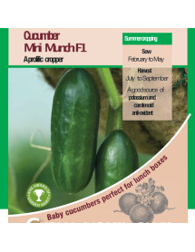 Cucumber Mini Munch F1 Vegetable Seeds