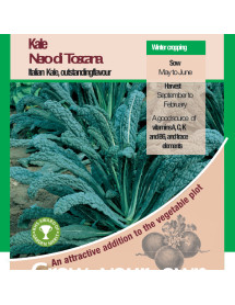 Kale Nero Di Toscana Vegetable Seeds