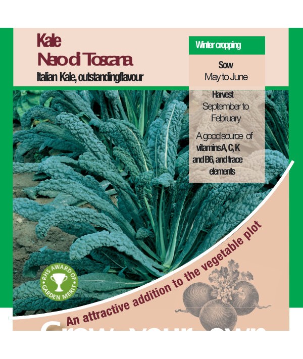 Kale Nero Di Toscana Vegetable Seeds