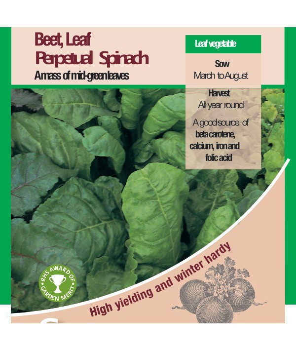 Leaf Beet Perpetual Spinach Vegetable Seeds - AGM