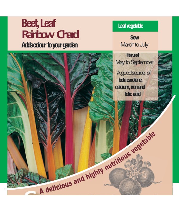 Leaf Beet Rainbow Chard Vegetable Seeds