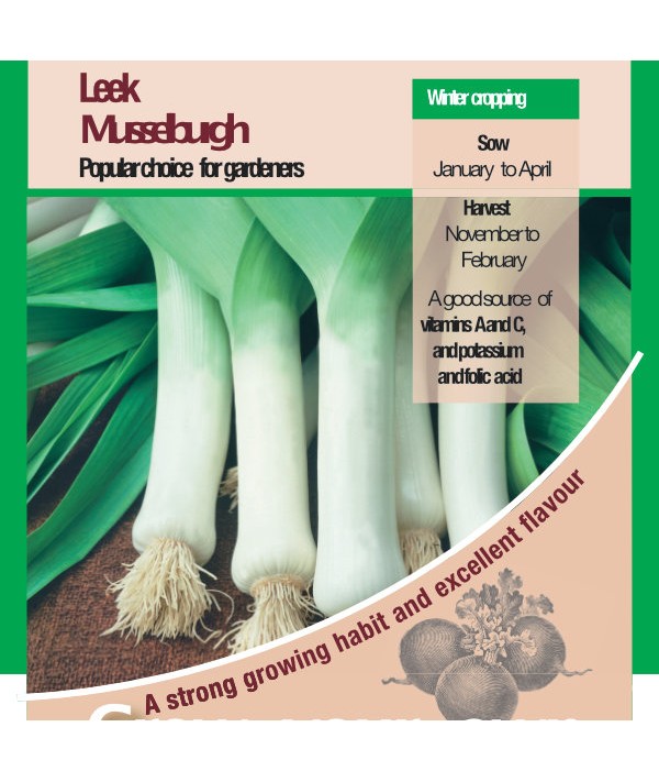 Leek Musselburgh Vegetable Seeds
