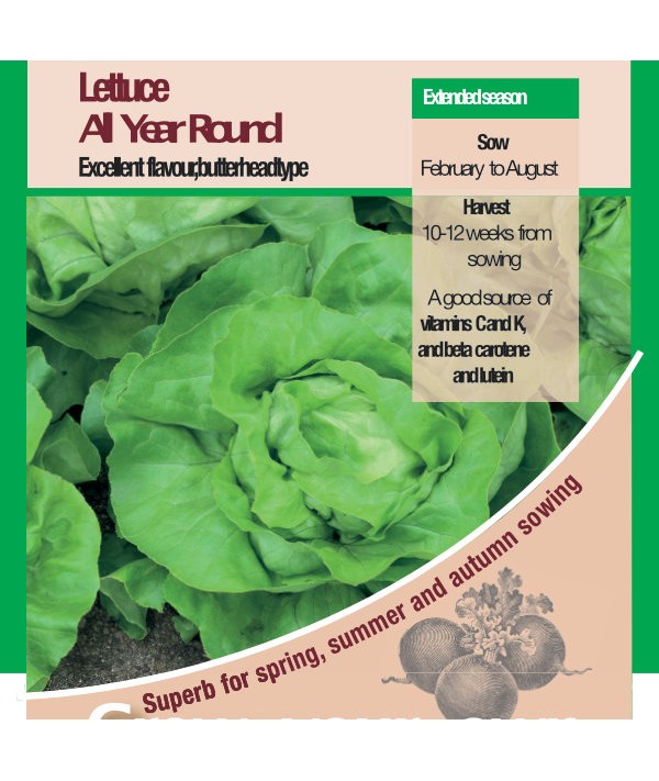 Lettuce All The Year Round Vegetable Seeds