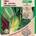 Lettuce Little Gem Cos Vegetable Seeds - AGM