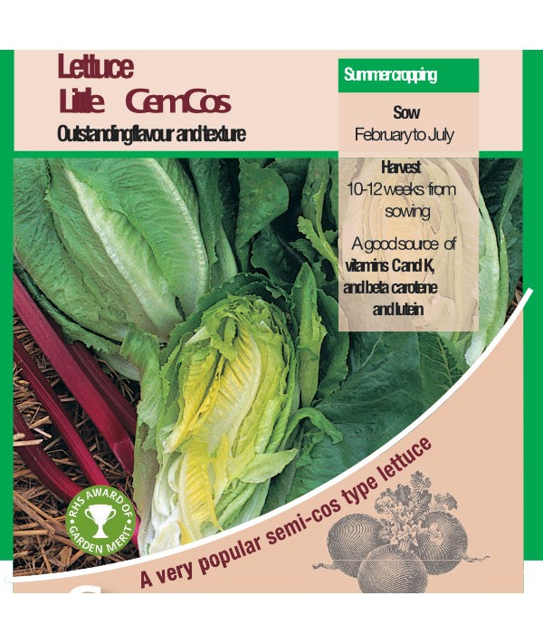 Lettuce Little Gem Cos Vegetable Seeds - AGM