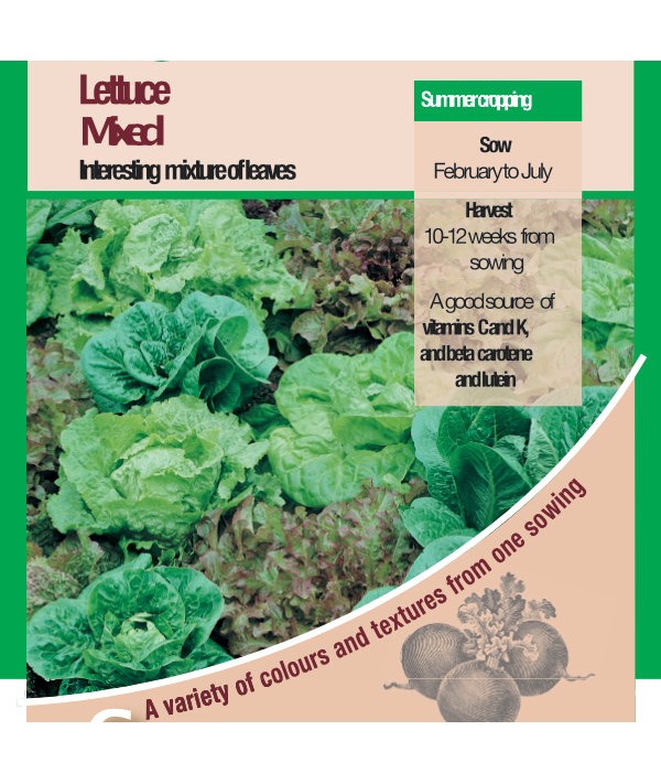 Lettuce Mixed Leaves Vegetable Seeds