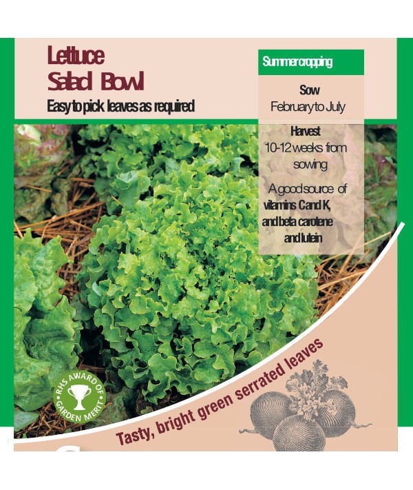 Lettuce Salad Bowl Vegetable Seeds - AGM