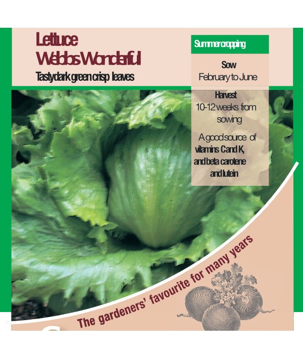 Lettuce Webbs Wonderful Vegetable Seeds