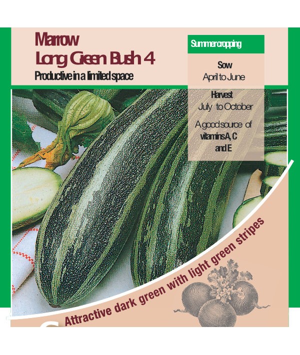 Marrow Long Green Bush 4 Vegetable Seeds