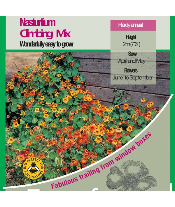 Nasturtium Climbing Mix Seeds