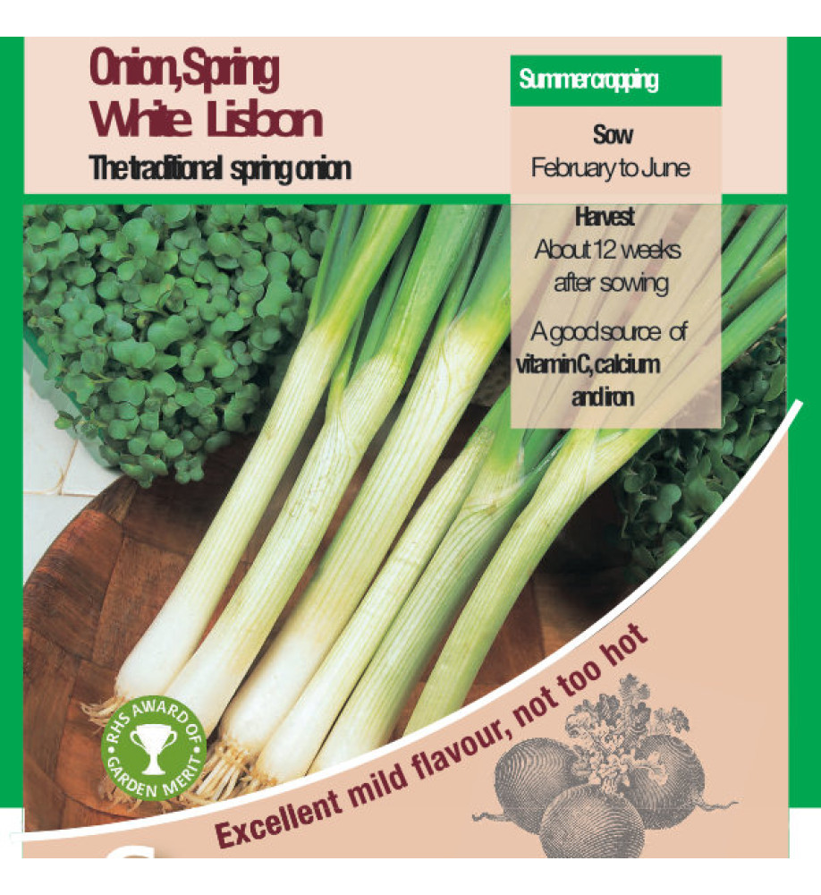 Onion White Lisbon Vegetable Seeds - AGM