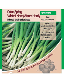 Onion Spring White Lisbon Winter Hardy Vegetable Seeds