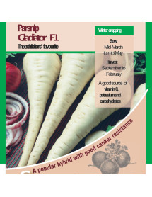 Parsnip Gladiator F1 Vegetable Seeds - AGM