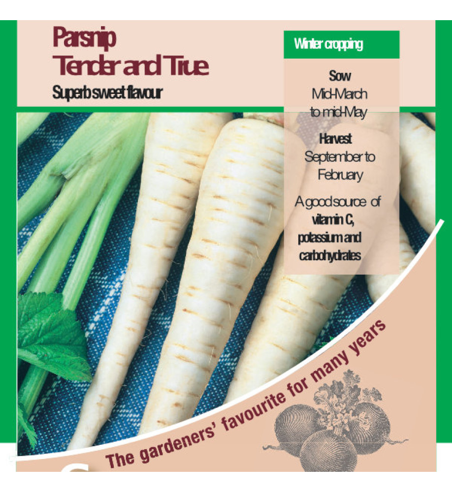 Parsnip Tender and True Vegetable Seeds