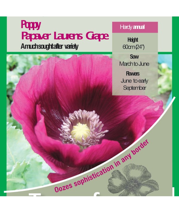 Papaver Somniferum Laurens Grape Seeds