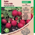 Radish Cherry Belle Vegetable Seeds - AGM