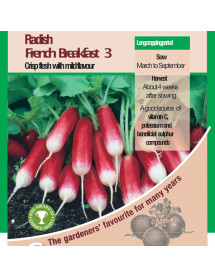 Radish French Breakfast 3 Vegetable Seeds - AGM