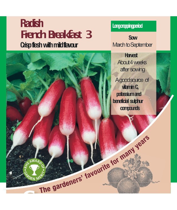 Radish French Breakfast 3 Vegetable Seeds - AGM