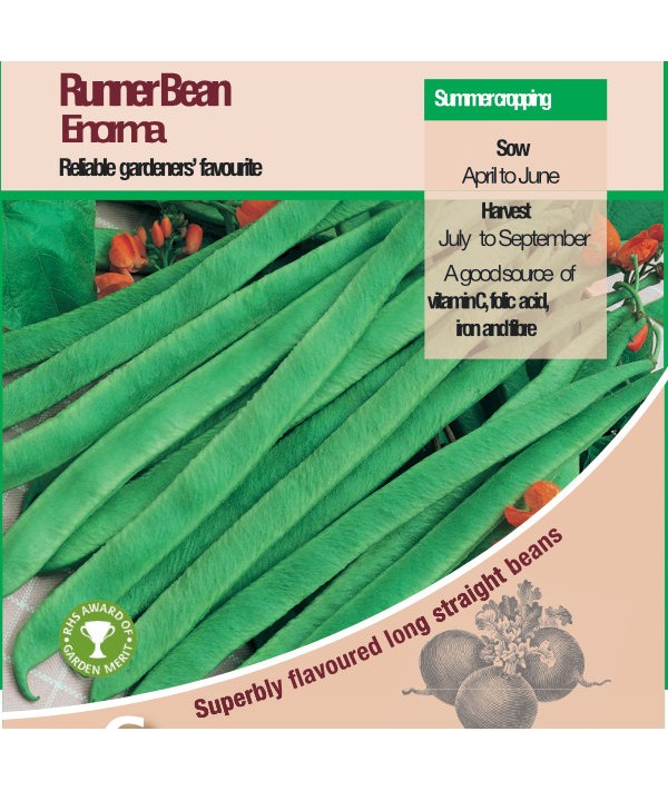 Runner Bean Enorma Vegetable Seeds