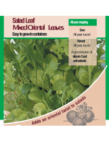 Salad Leaf Mixed Oriental Leaves Vegetable Seeds 