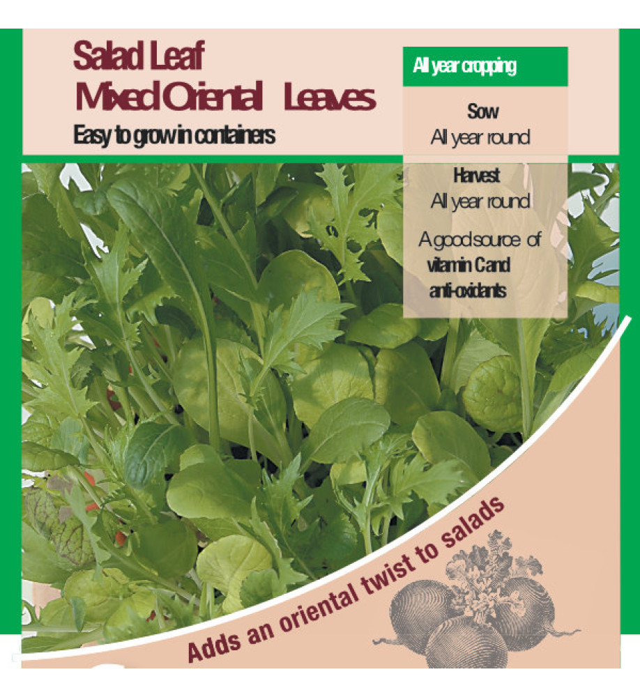 Salad Leaf Mixed Oriental Leaves Vegetable Seeds 