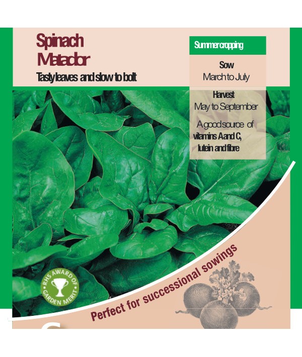 Spinach Matador Vegetable Seeds - AGM