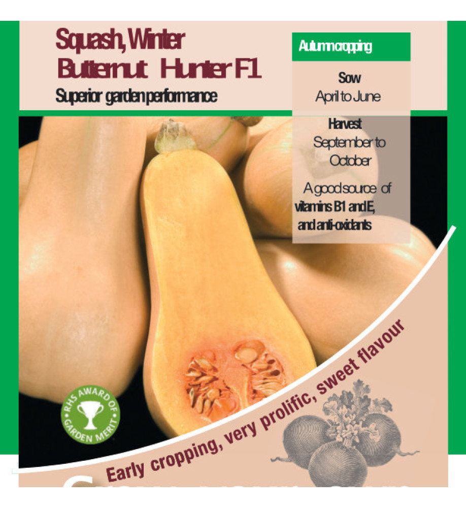 Squash Winter Butternut Hunter F1 Vegetable Seeds - AGM