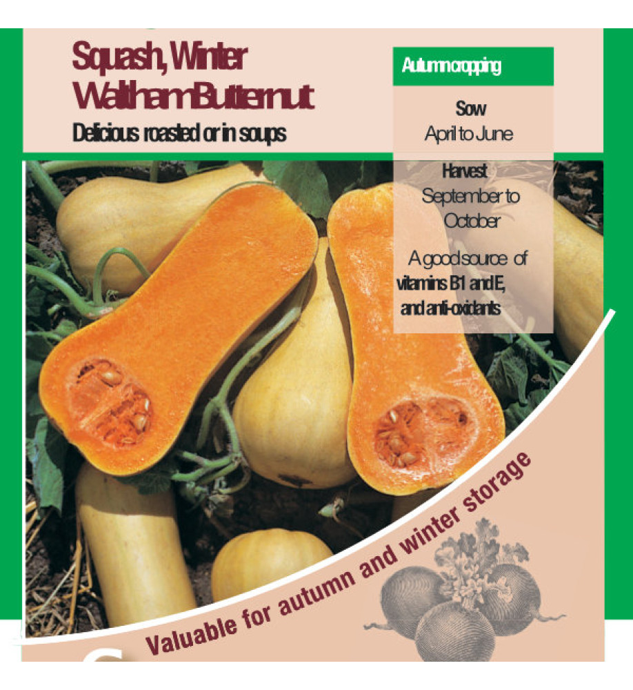 Squash Winter Butternut Waltham Butternut Vegetable Seeds