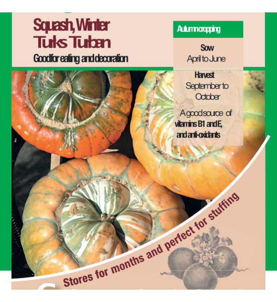 Squash Winter Turks Turban Vegetable Seeds