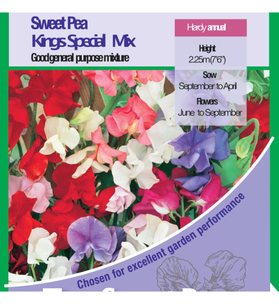 Sweet Pea Kings Special Seeds