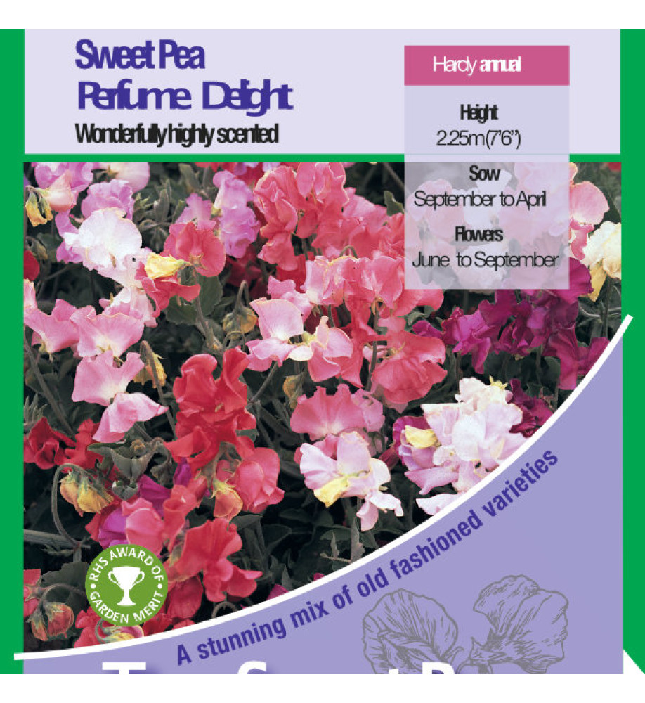 Sweet Pea Perfume Delight Mix Seeds
