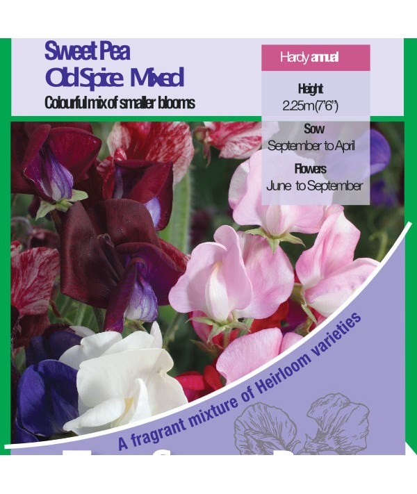 Sweet Pea Old Spice Mix Seeds