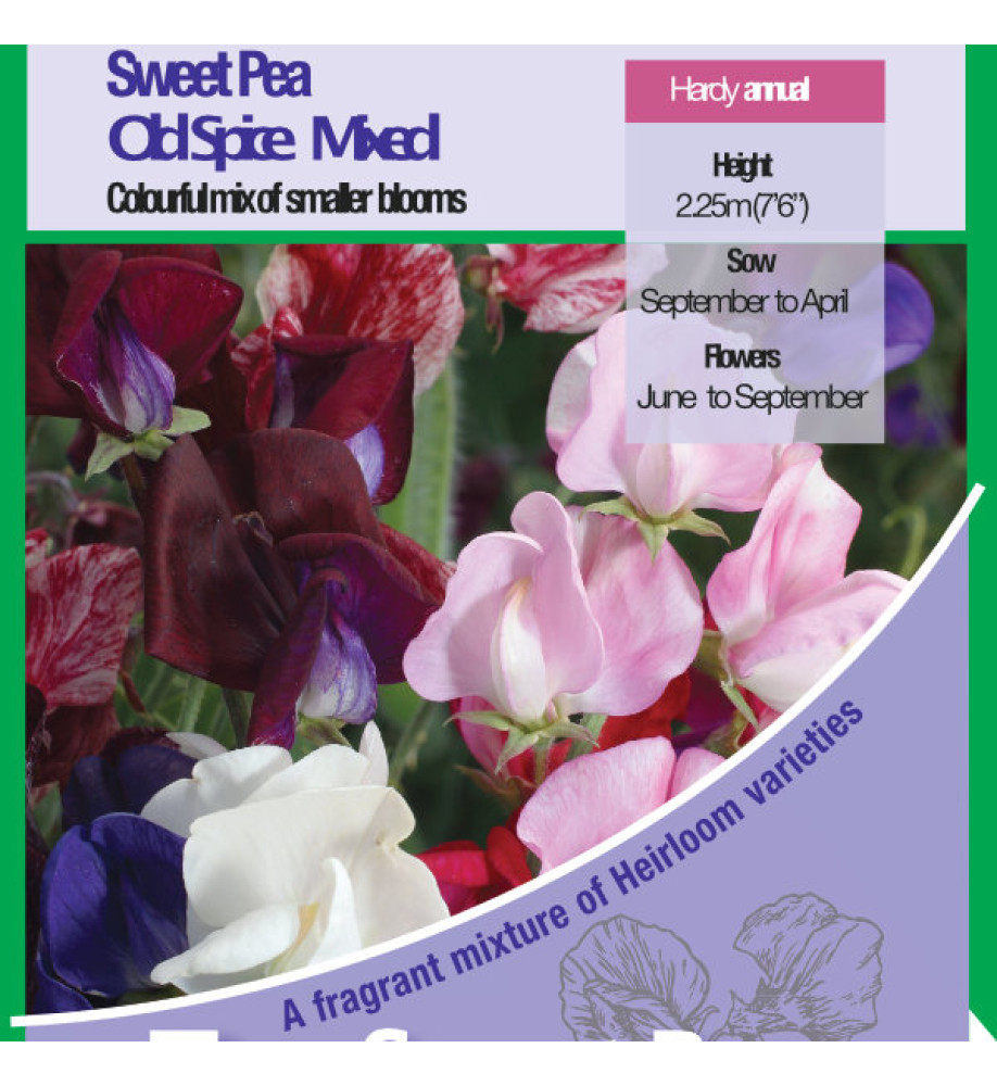 Sweet Pea Old Spice Mix Seeds