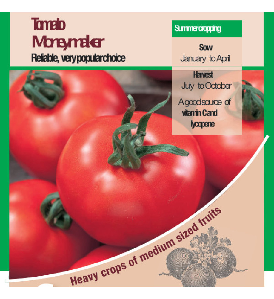 Tomato Moneymaker Size Seeds