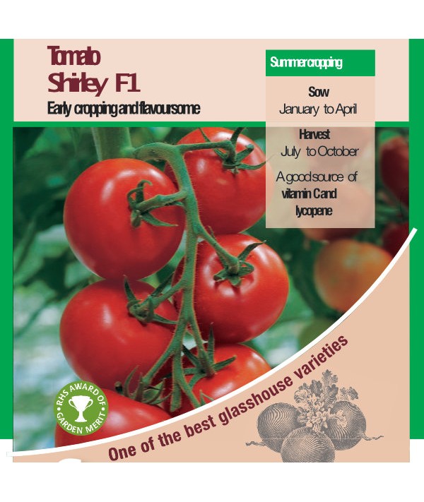 Tomato Shirley F1 Seeds - AGM