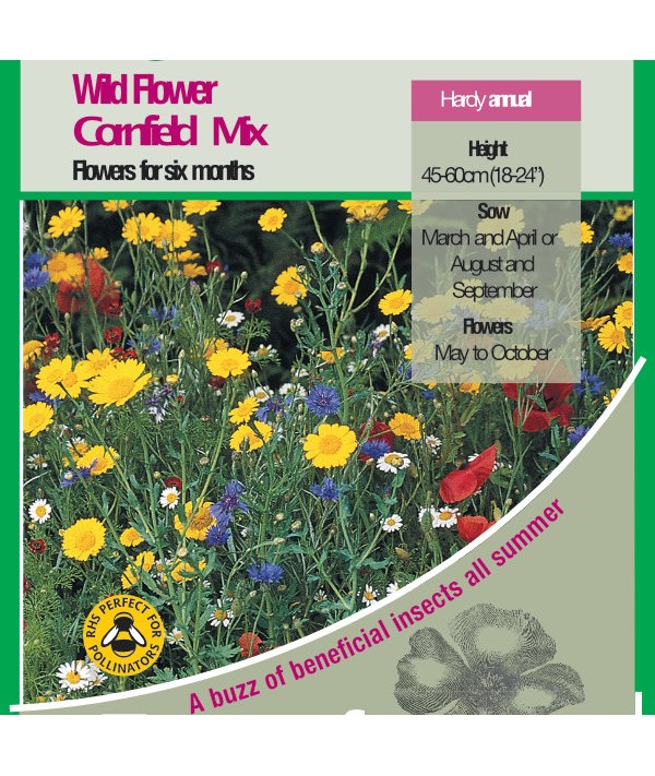 Wild Flower Cornfield Mix Seeds