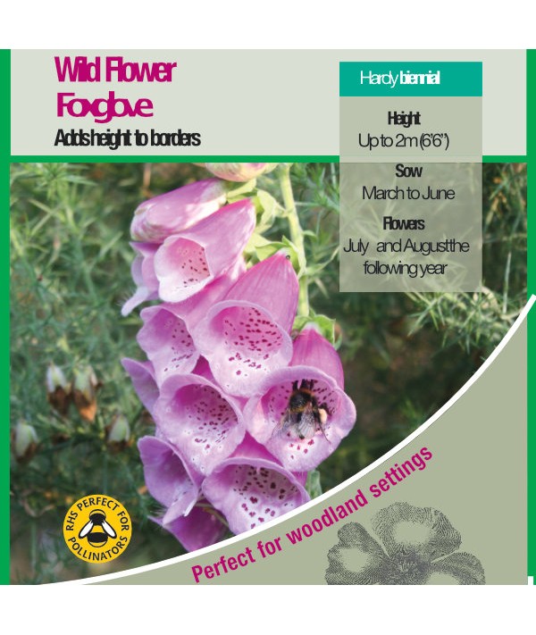 Wild Flower Foxglove Seeds