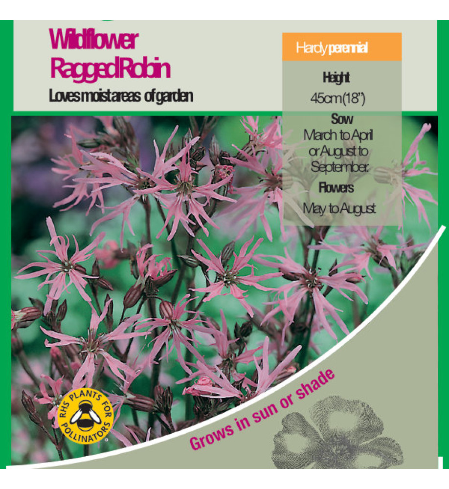 Wild Flower Ragged Robin Seeds