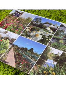 Picture Card for a Personalised Message